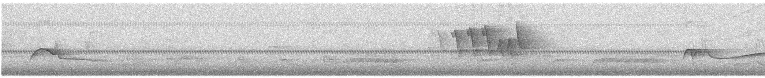 Doğulu Pivi - ML348718991