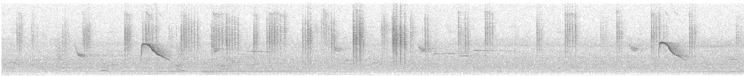 bergelenia - ML348722481