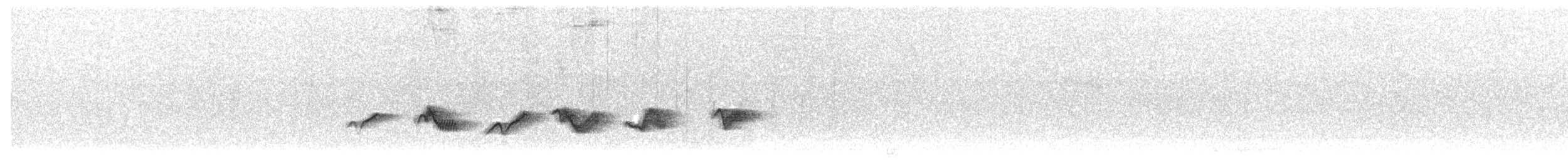 Чернокрылая пиранга - ML348733331