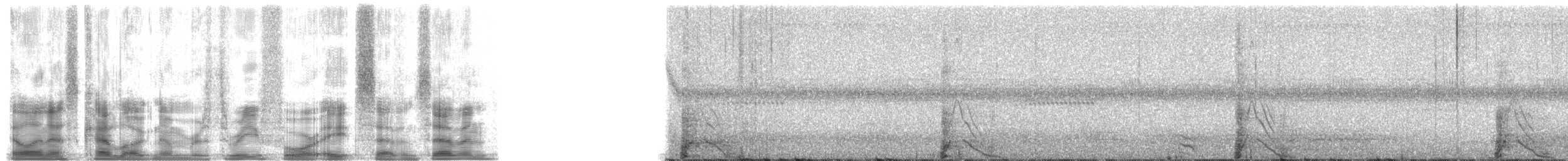 Gözlüklü Hokko (fasciolata/grayi) - ML34877