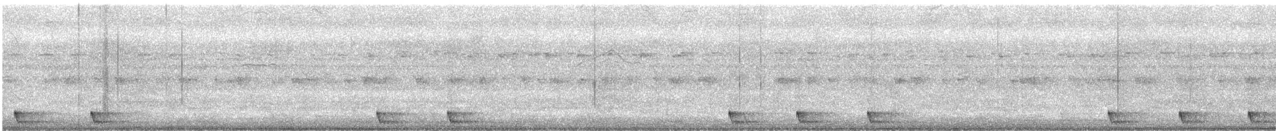 Large-tailed Nightjar - ML348770981