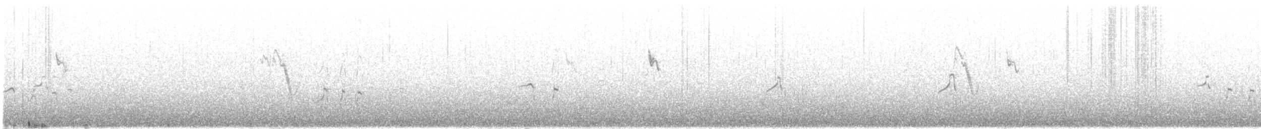 Bec-d'ibis tibétain - ML348797801