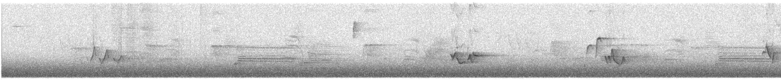 tanımsız Passeriformes sp. - ML348802661