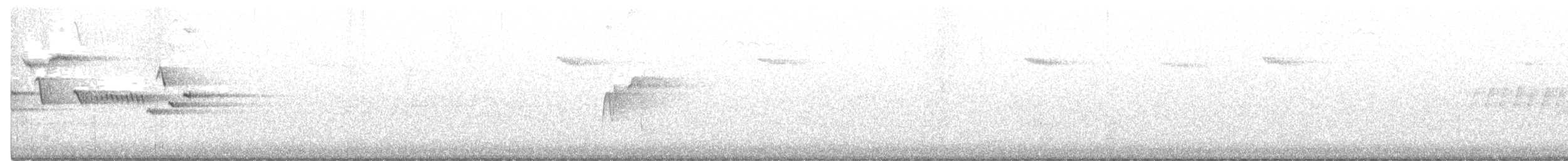 Troglodyte des forêts - ML348802701