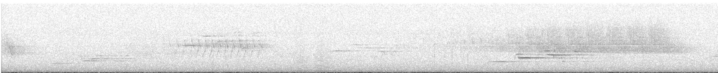 Дрізд-короткодзьоб плямистоволий - ML348830341
