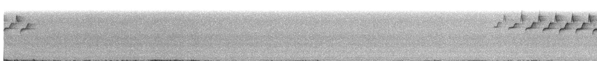 lesňáček černobílý - ML348845051