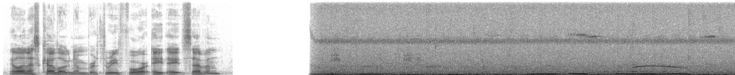 Gözlüklü Hokko (fasciolata/grayi) - ML34887