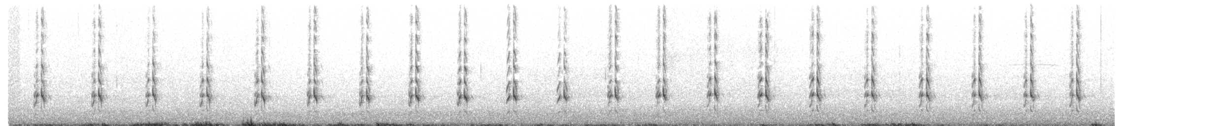 ハジロオオシギ（semipalmata） - ML348909981