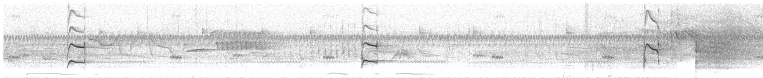 mestistyrann (nuttingi/inquietus) - ML348923301