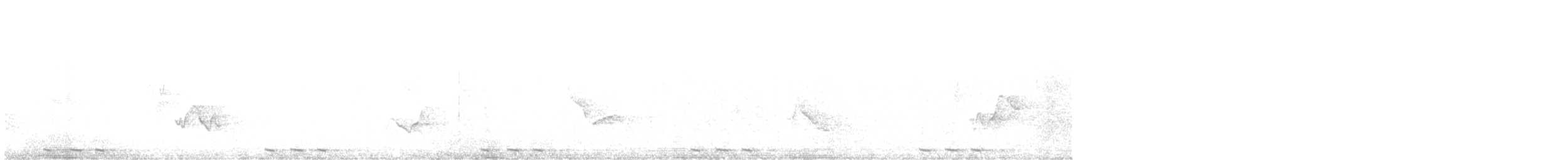 Black-billed Cuckoo - ML348944251