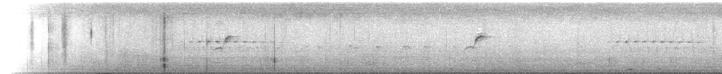 Batı Amerika Sinekkapanı (occidentalis/hellmayri) - ML348944421