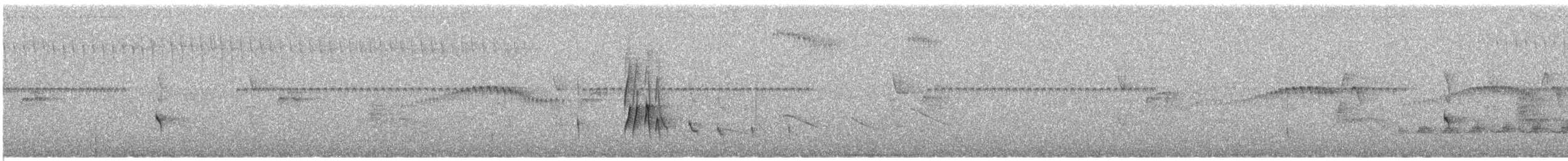 Серогрудый трескунчик - ML34896801