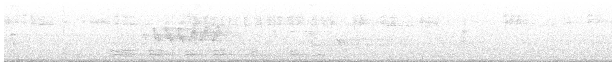 new world warbler sp. - ML348973711