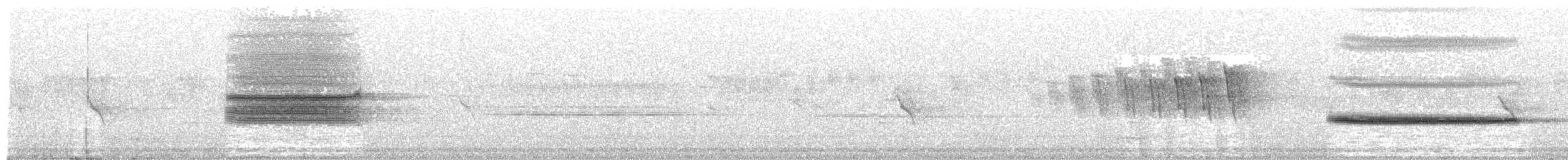 båndtrost - ML348976461