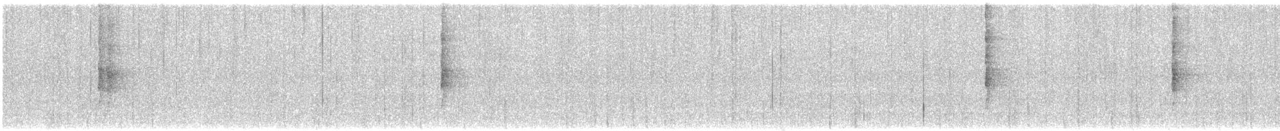 Пестрогрудый лесовик - ML349002841