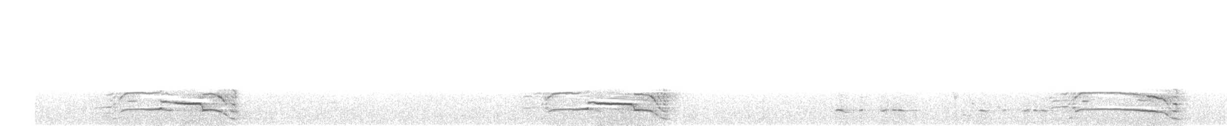 Желтохвостый траурный какаду - ML349035511