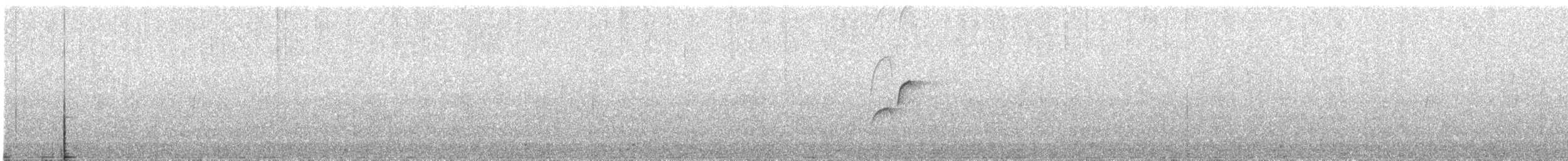Batı Amerika Sinekkapanı (occidentalis/hellmayri) - ML349076241
