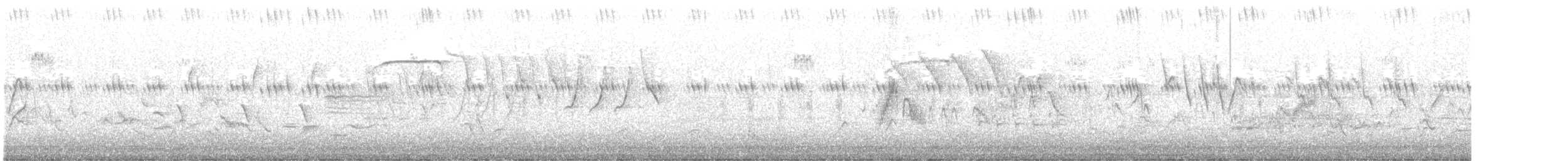 Willow Flycatcher - ML349098561