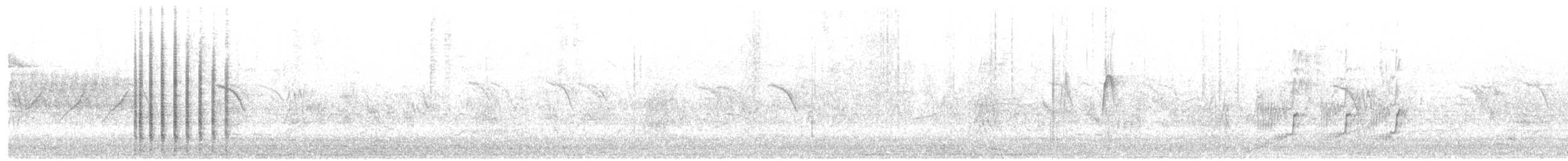 karančo jižní (ssp. cheriway) - ML349110081