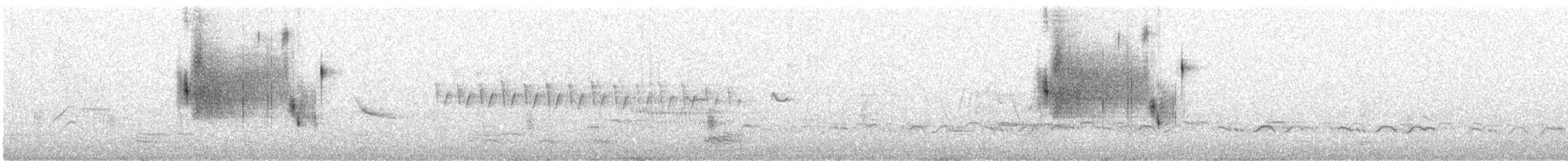 Канадская овсянка-барсучок (subvirgata) - ML349115641