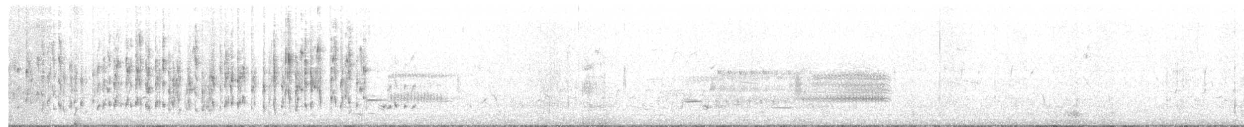 Troglodyte des marais - ML34912911