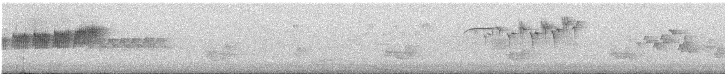 アサギアメリカムシクイ - ML349129441