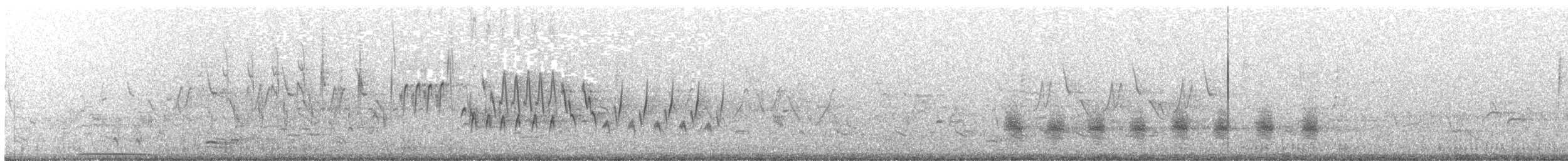 オオアメリカムシクイ - ML349132381