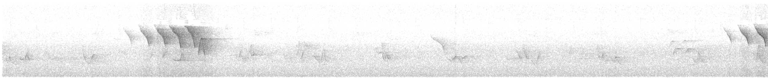 American Redstart - ML349133291