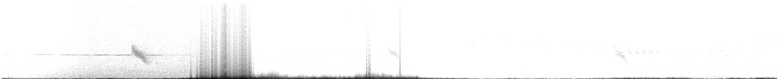 Bicknell's Thrush - ML349138031