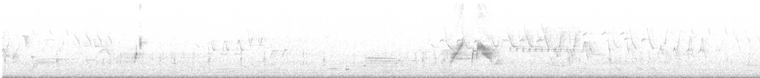 Ивовый мухолов - ML349143251