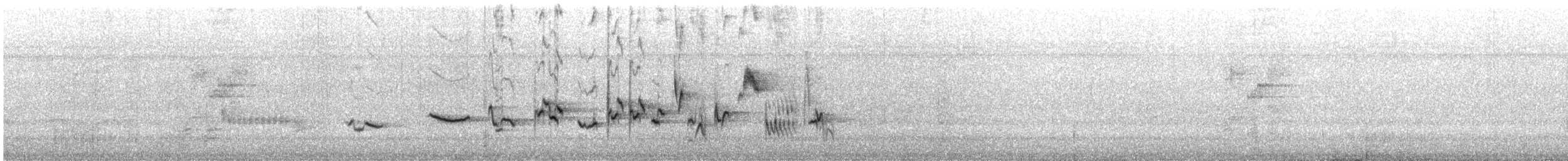 Orchard Oriole - ML349176981