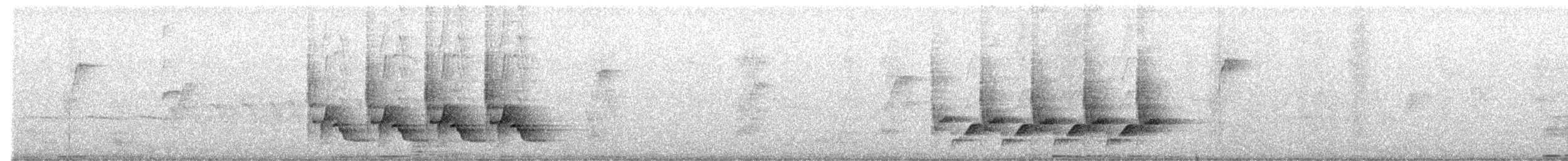 Поплітник каролінський - ML349185281