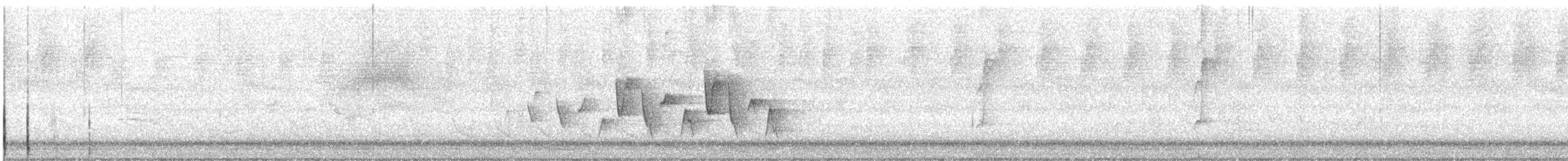 Connecticut Warbler - ML349193661