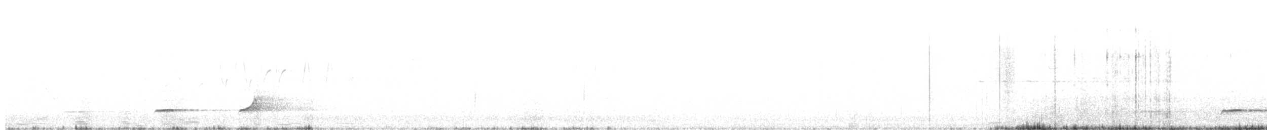 Northern Bobwhite - ML349215801