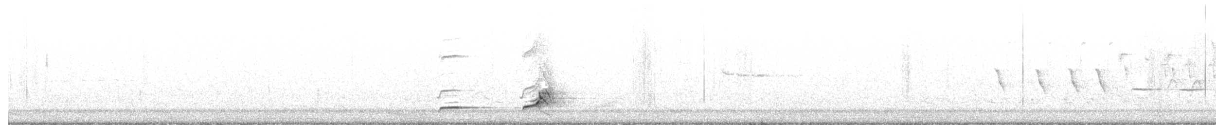 nordkrattvaktel (virginianus gr.) - ML349242001