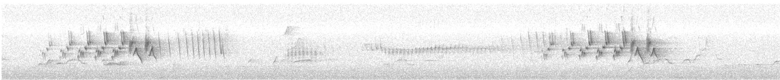 MacGillivray's Warbler - ML349243371