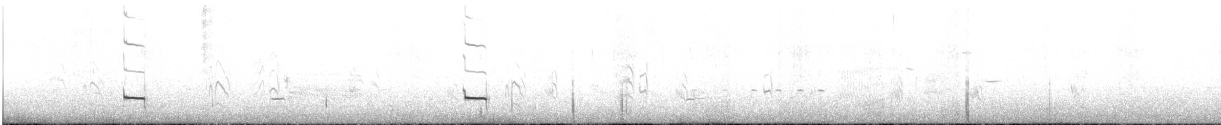 Flötenregenpfeifer - ML349244481