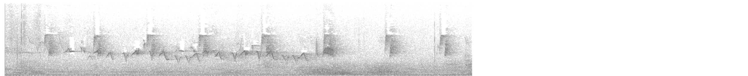 Moucherolle tchébec - ML349268281