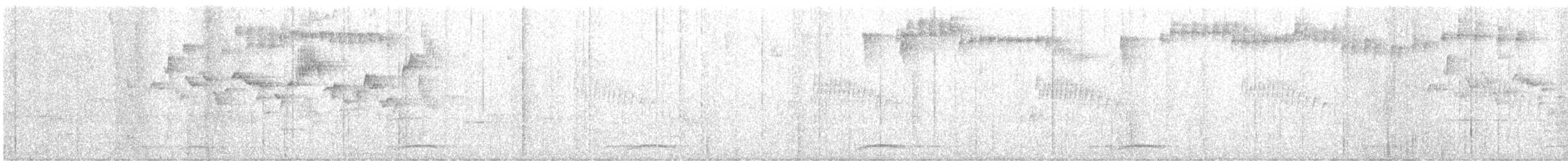 holub kostarický - ML349276121