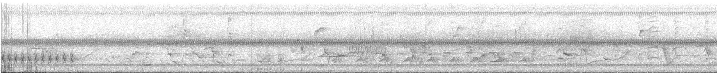 オオアメリカムシクイ - ML349316901