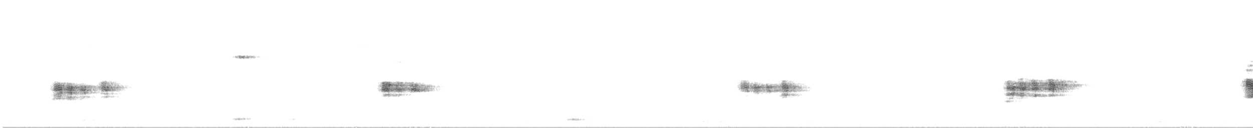Antillennachtschwalbe - ML349499721