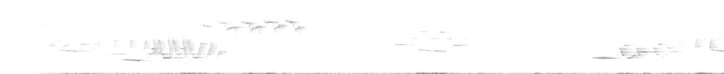 Дрізд-короткодзьоб плямистоволий - ML349502021