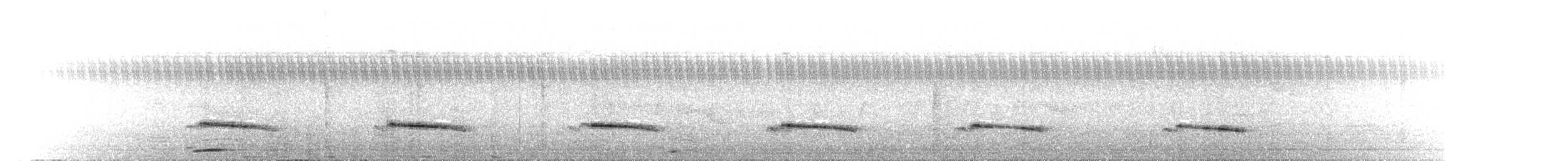 Graubauchkuckuck - ML349533291