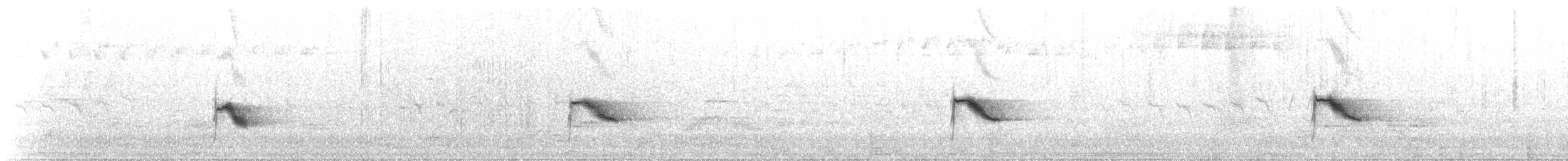 Bicknell Bülbül Ardıcı - ML349559071