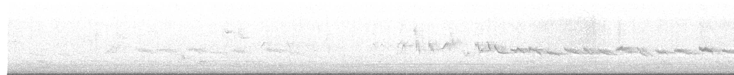 斑文鳥 - ML349563711