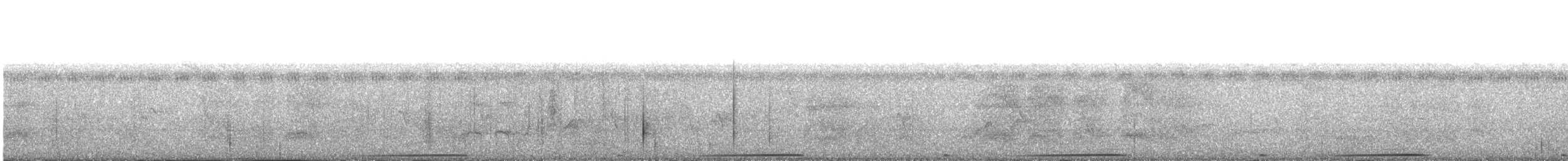 holub zelenokřídlý - ML349573651