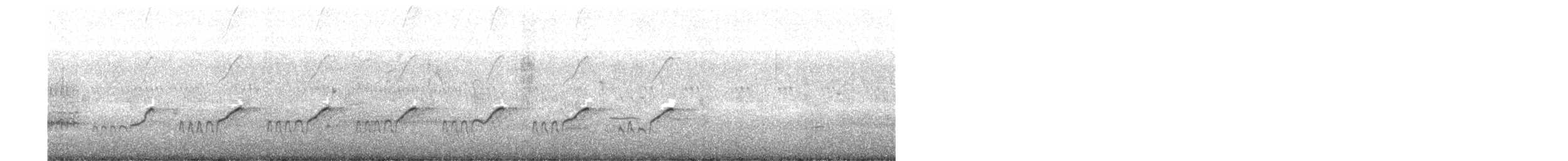 Набережник плямистий - ML349580471