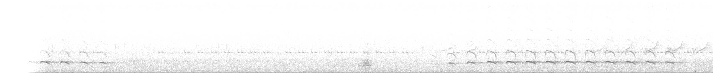 White-bearded Antshrike - ML349599531
