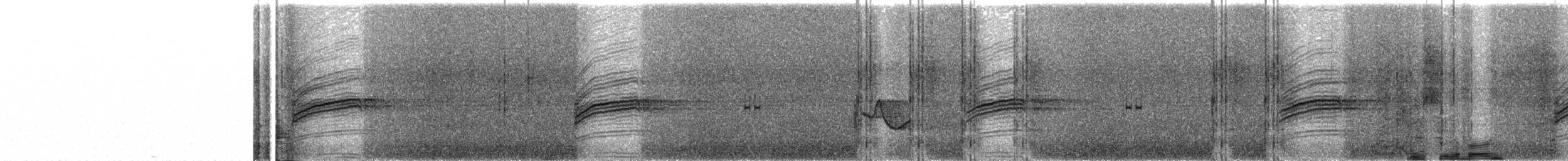 Дрізд-короткодзьоб плямистоволий - ML349603541