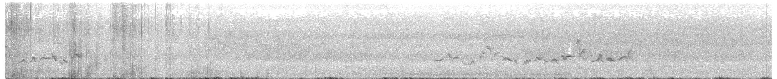 Sängervireo - ML349622791